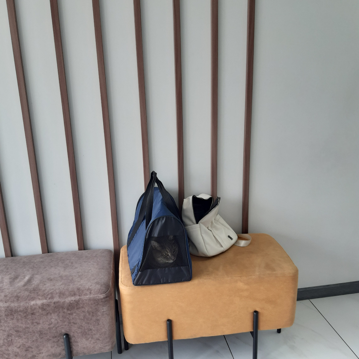 Пациент мой