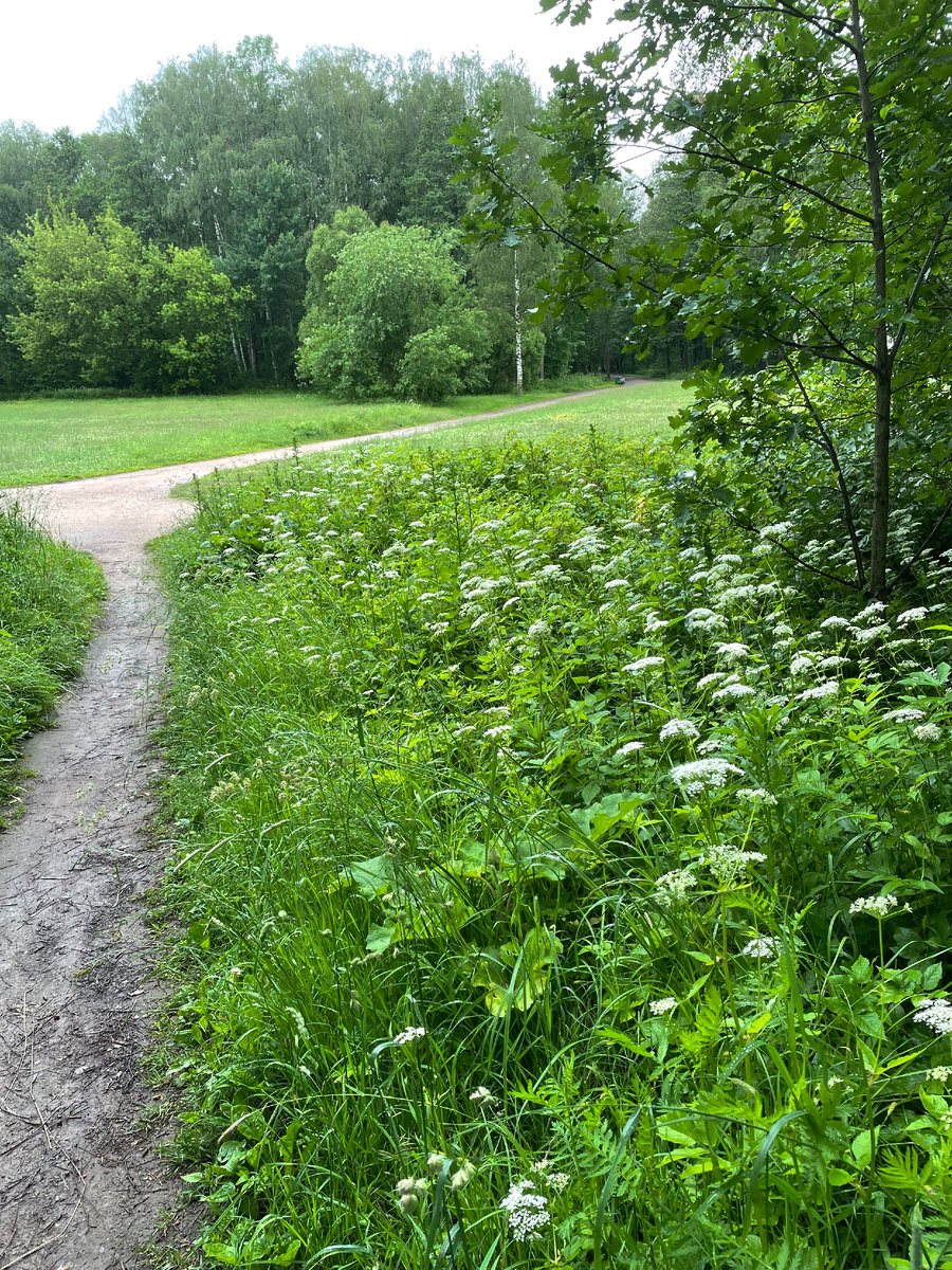 Удельный парк