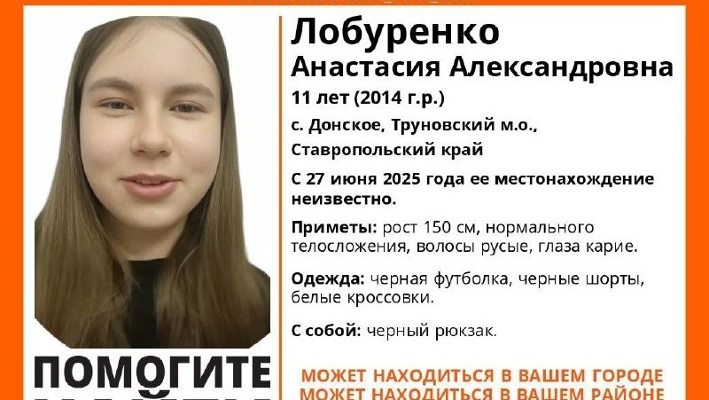      Фото: ПСО «ЛизаАлерт»