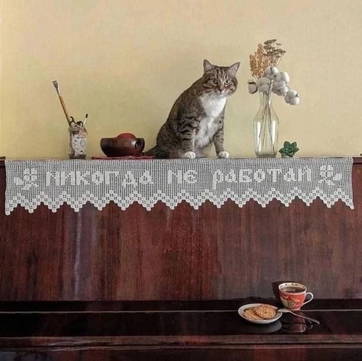 иллюстрация из яндекс картинки.