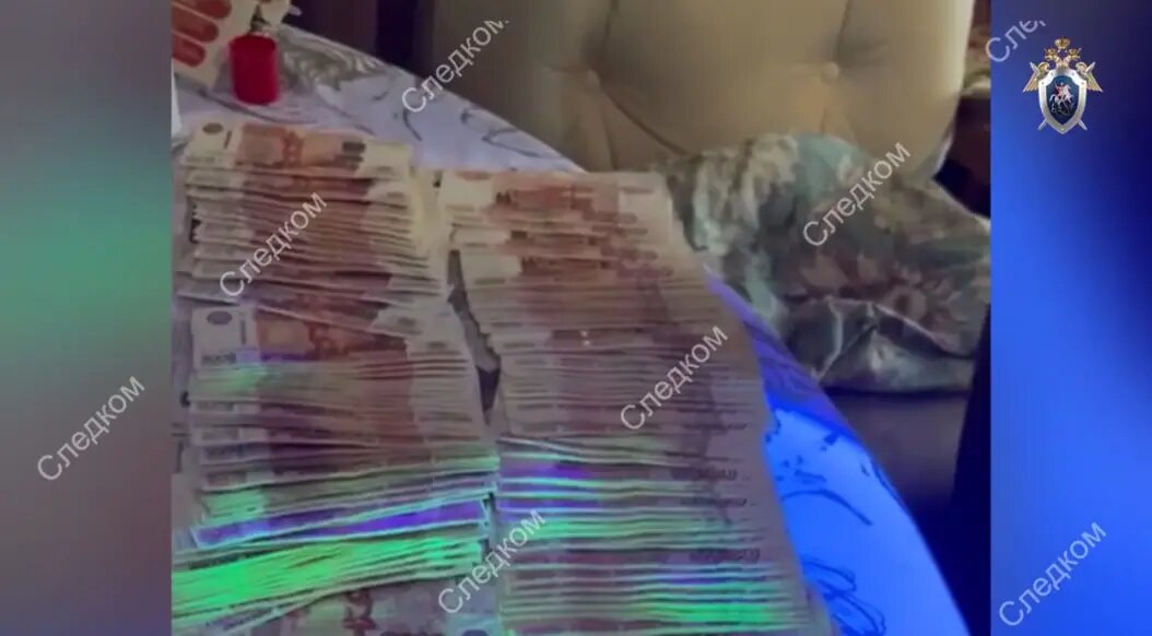    Фото: скриншот из видео пресс-службы ГСУ СК России по Петербургу