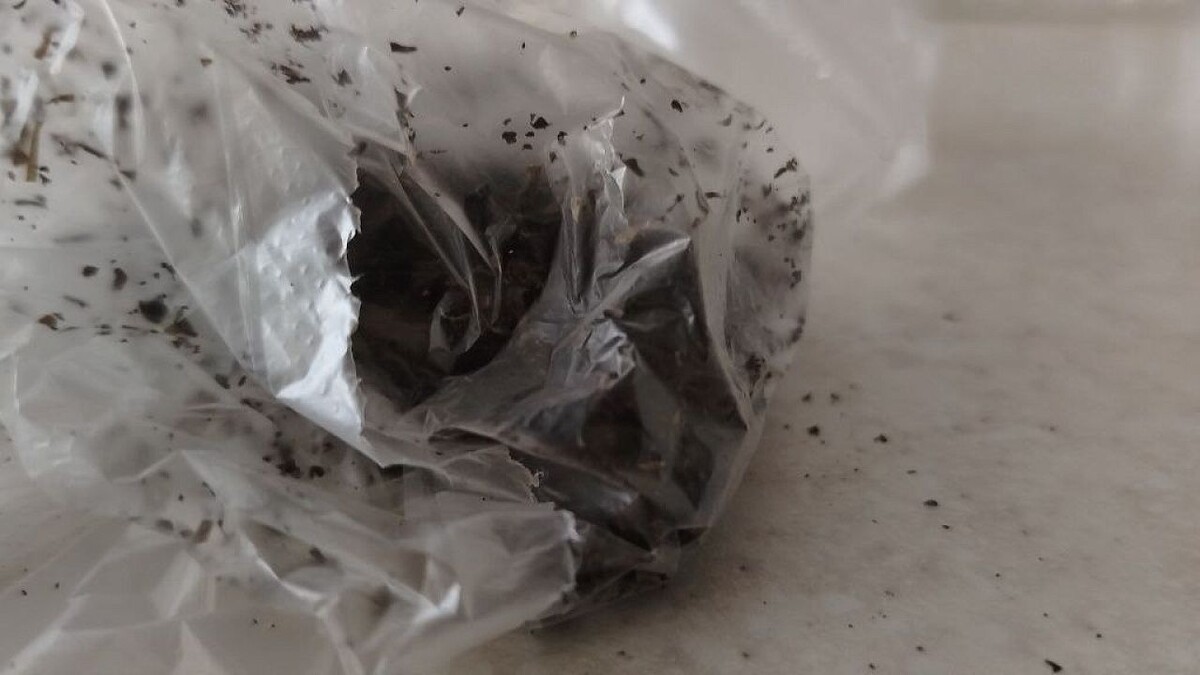    Фото: телеканал «Краснодар»