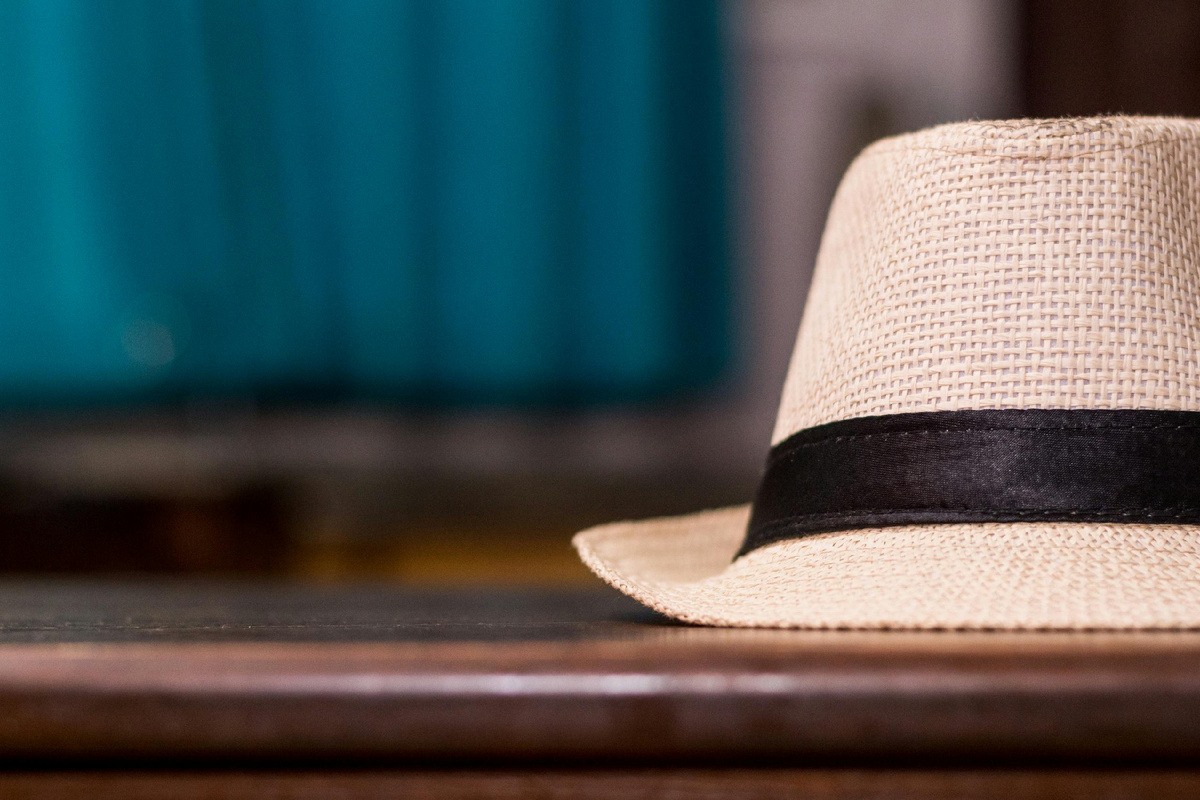 Фотограф: K15  Photos: https://www.pexels.com/ru-ru/photo/fedora-744365/