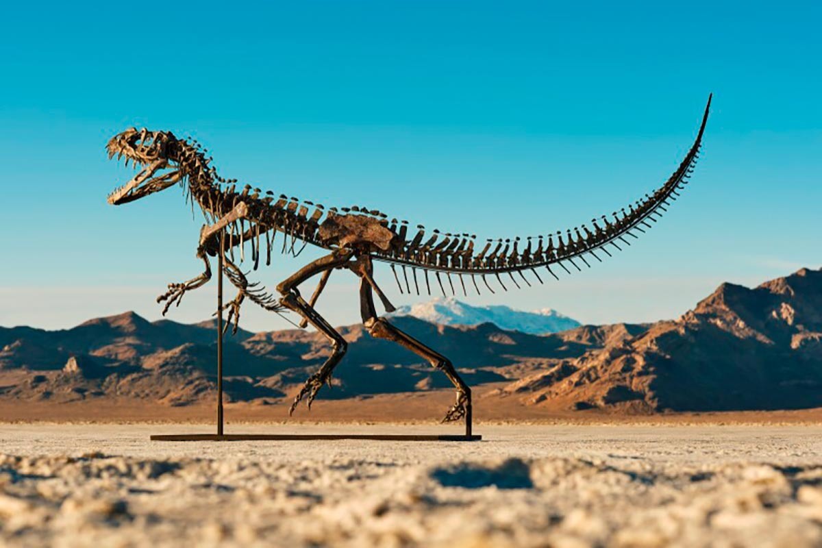    Фото: sothebys.com