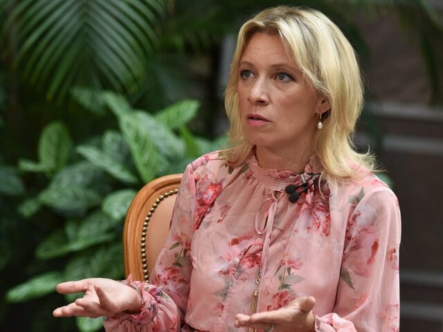    Фото: Москва 24/Никита Симонов