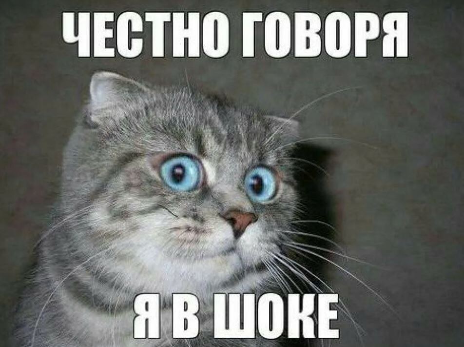 источник Яндекс-картинки