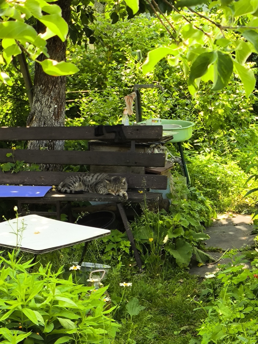 Мой сторож. 