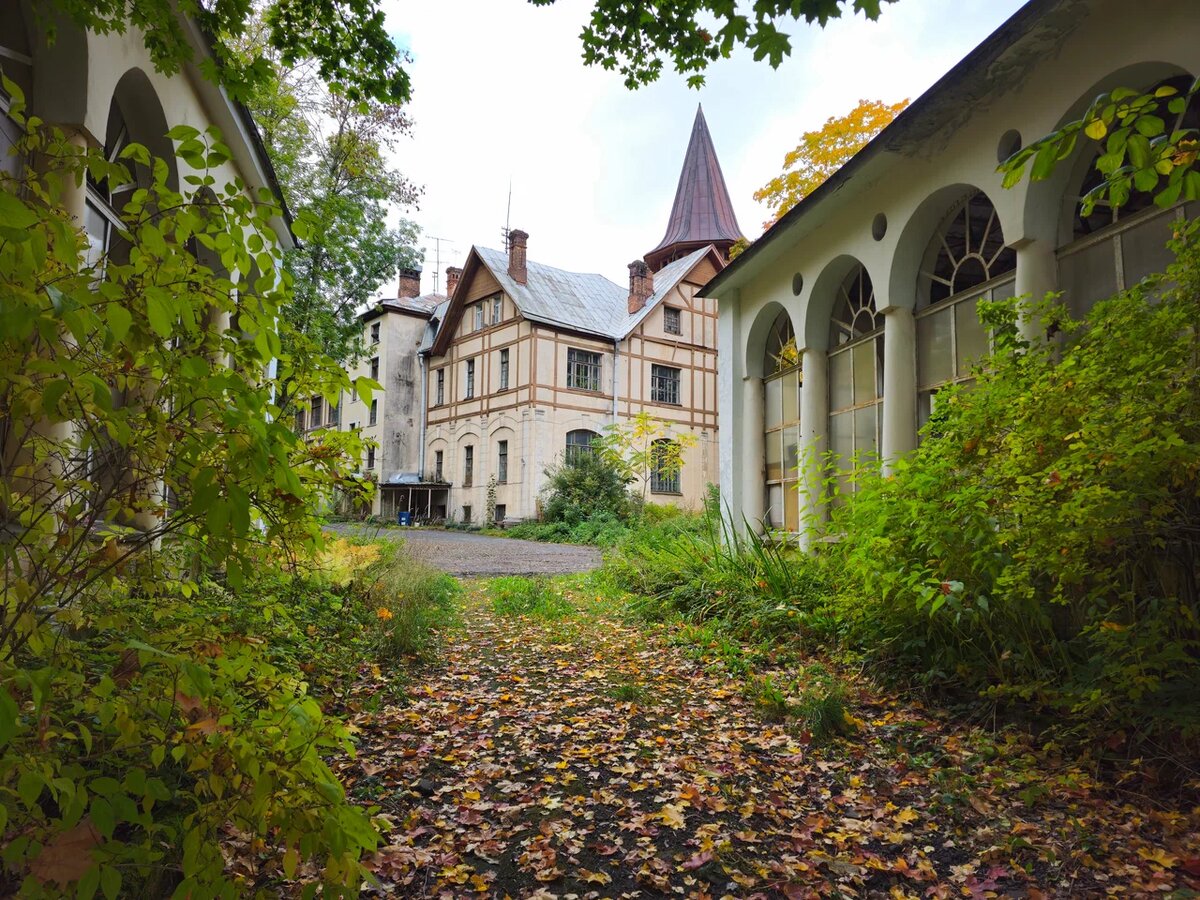 автор aleksandr_tf