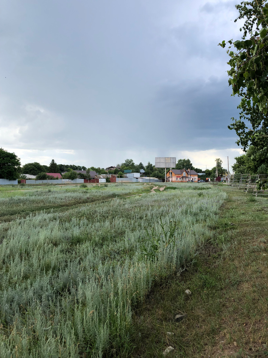 Рождествено. Фото автора.