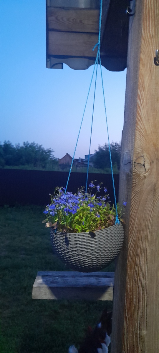 Вроде назыется Метиола