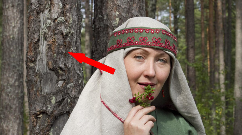    Кривичи – славянские воины или финно-угорские загадки Древней Руси