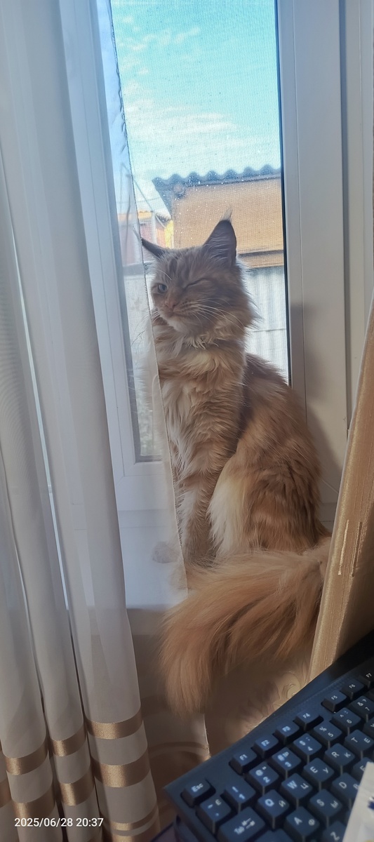 Просто Рыжая