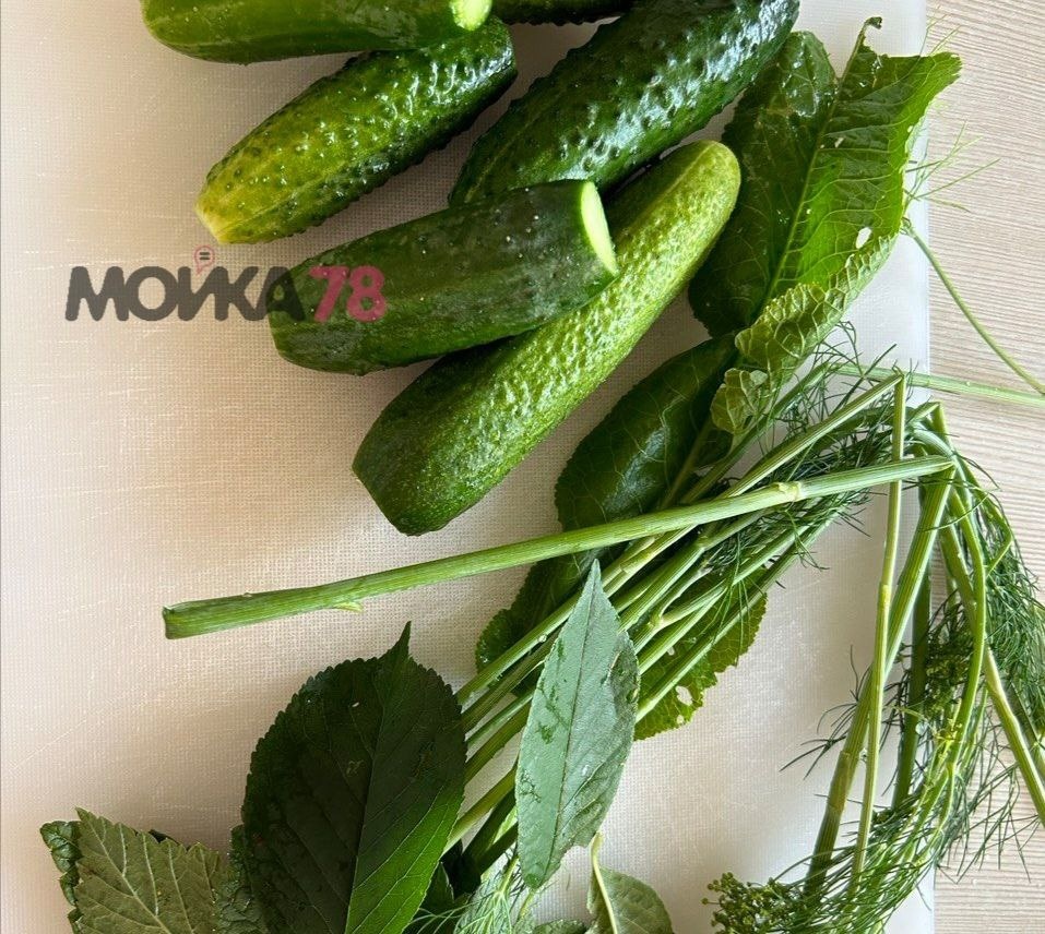    Фото: Мойка78