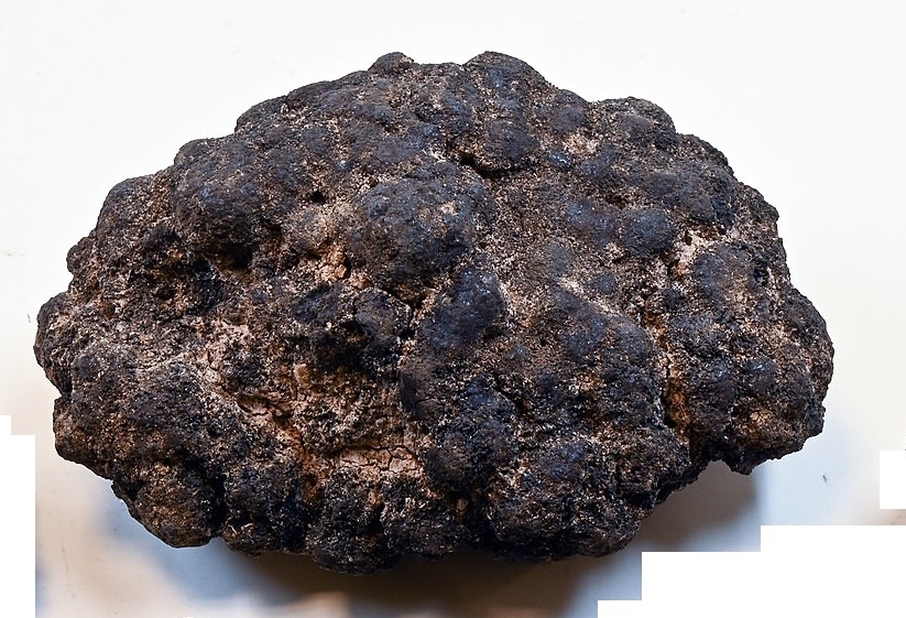 Такая же конкреция со дна Тихого океана. Фото из свободного доступа. Яндекс картинки. 