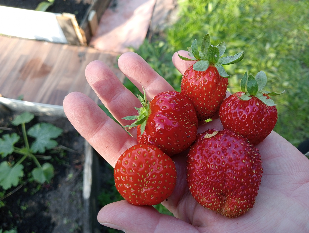 Фото автора. 