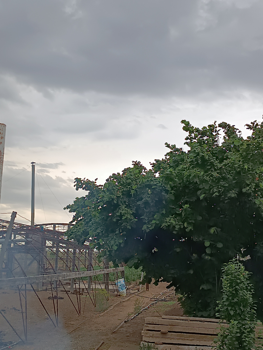 У природы нет плохой погоды. 