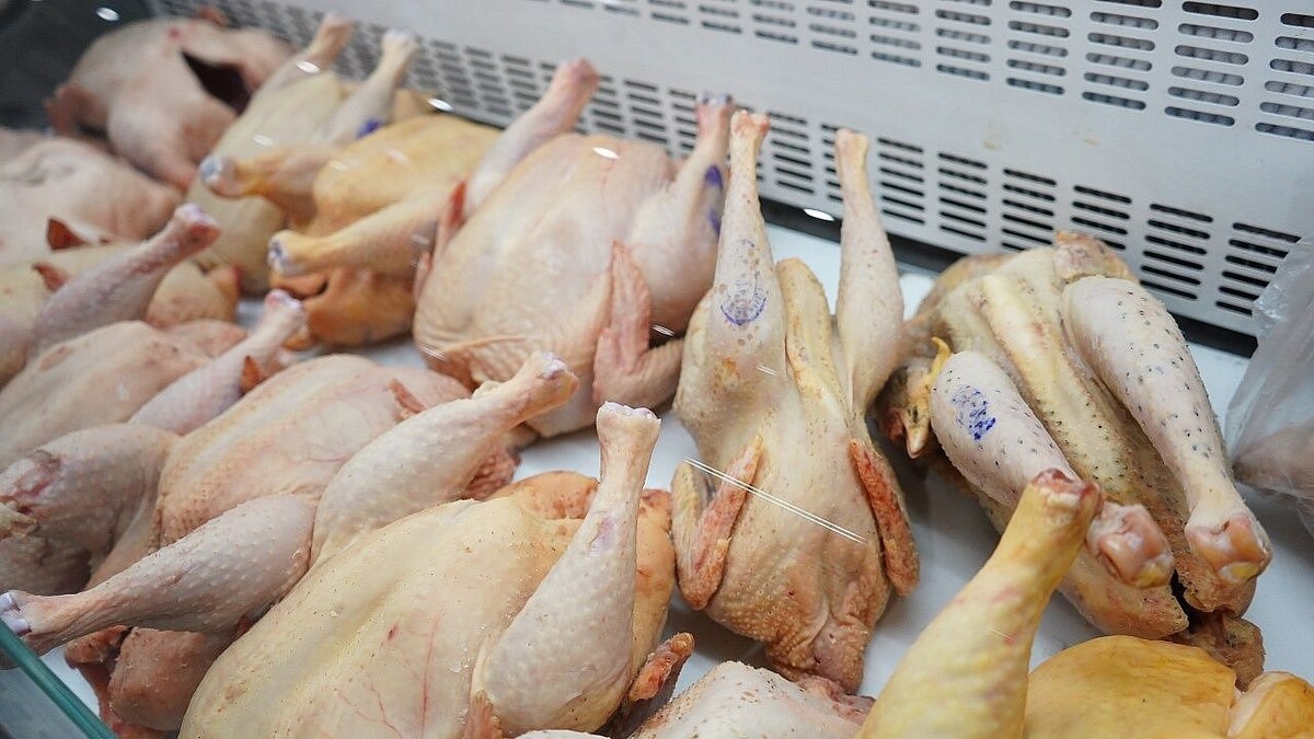    Фото: телеканал «Краснодар»