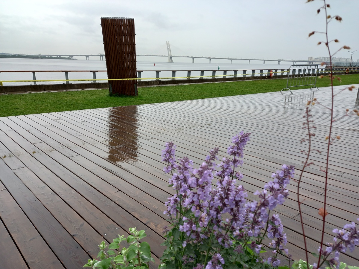 Фото июня: мокро, просторно, красиво)