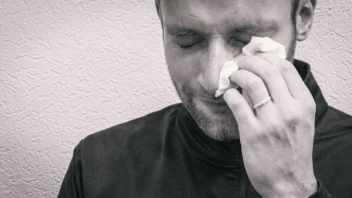     Источник: 1MI