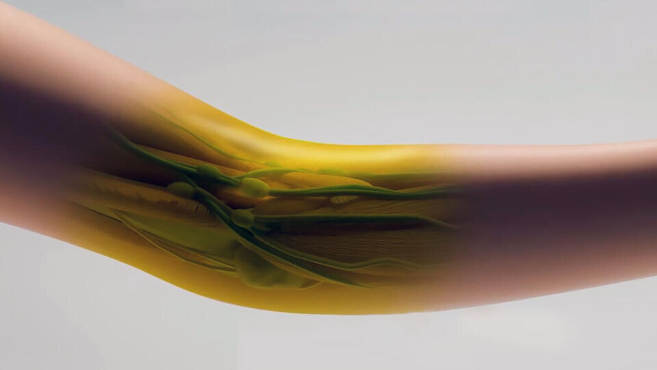 Фото: © Кадр из программы "Наука и техника", РЕН ТВ