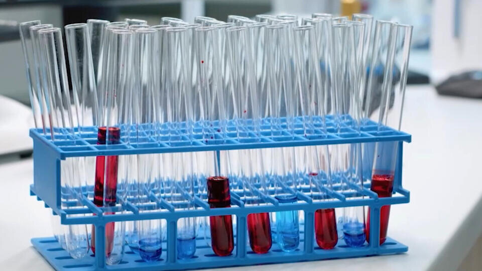 Фото: © Кадр из программы "Легенды и мифы", РЕН ТВ