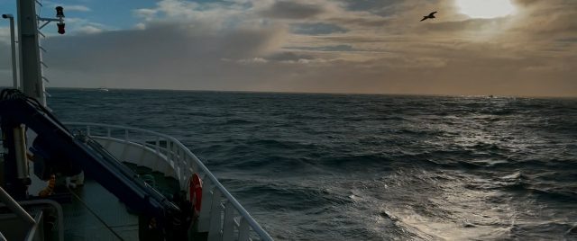    Кадр из фильма «Лили и море»