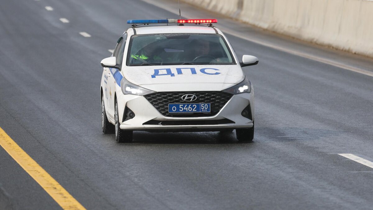    Фото: Belkin Alexey/news.ru