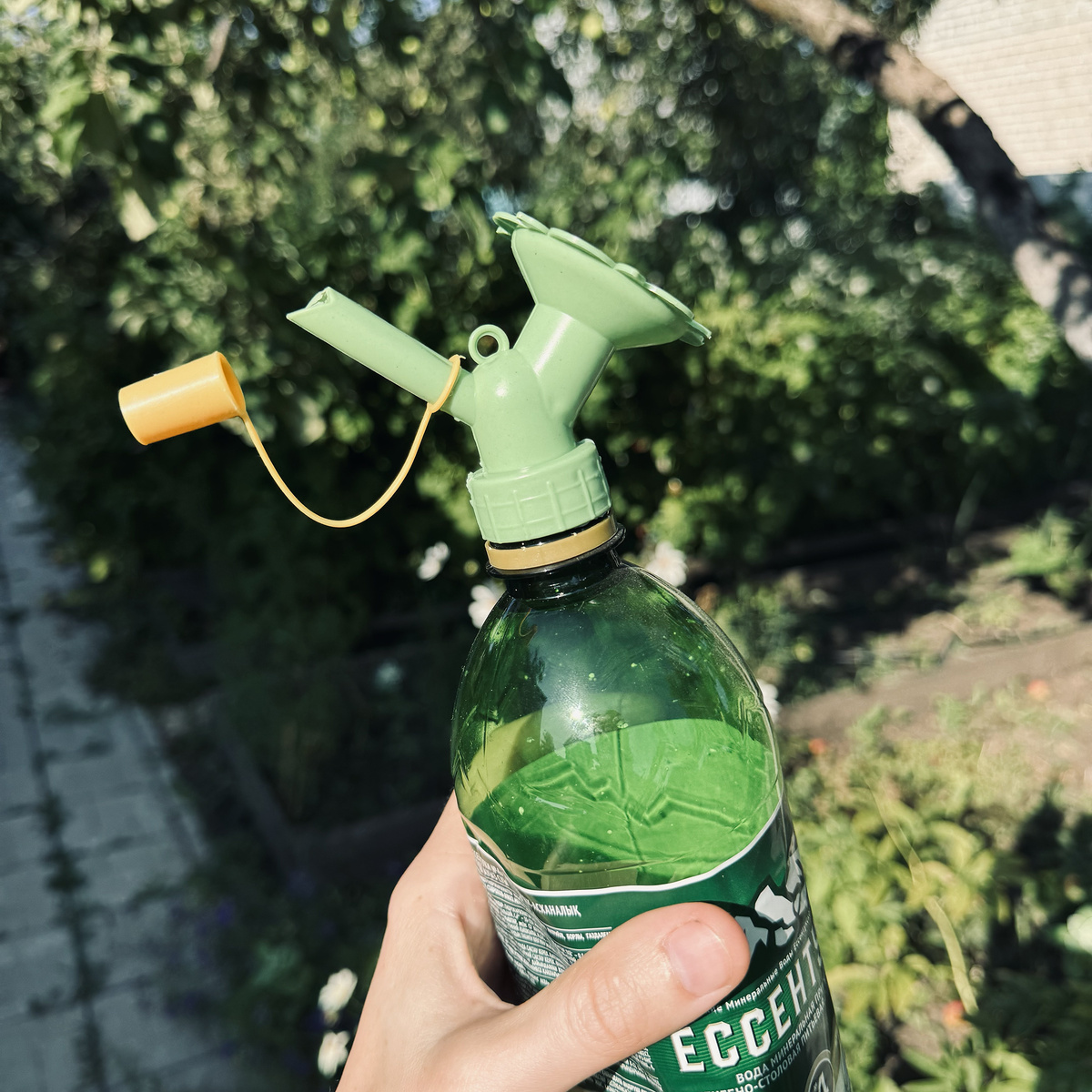 Купила на Ozon: 2067629915