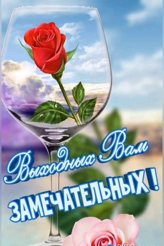 Скрин сделан автором статьи 