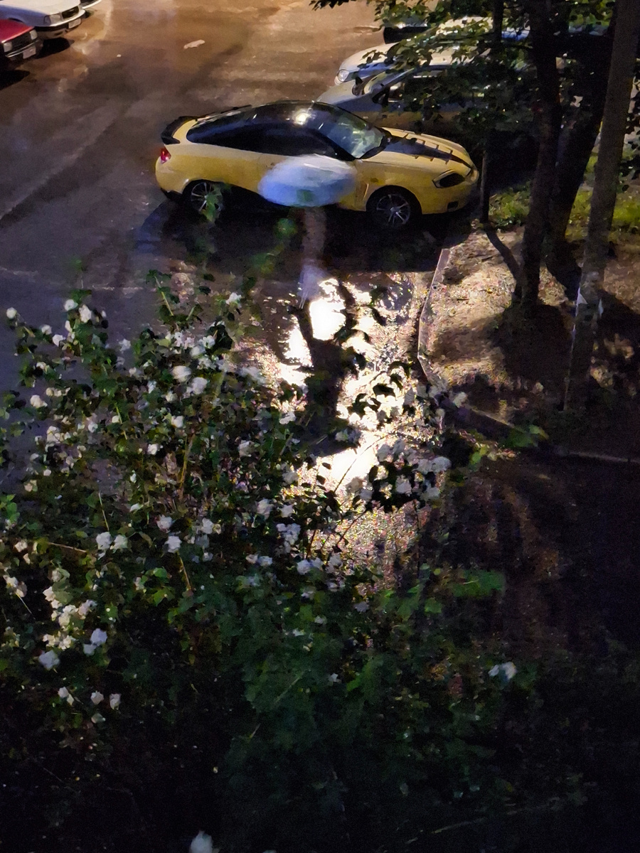 Фотография сделана автором 