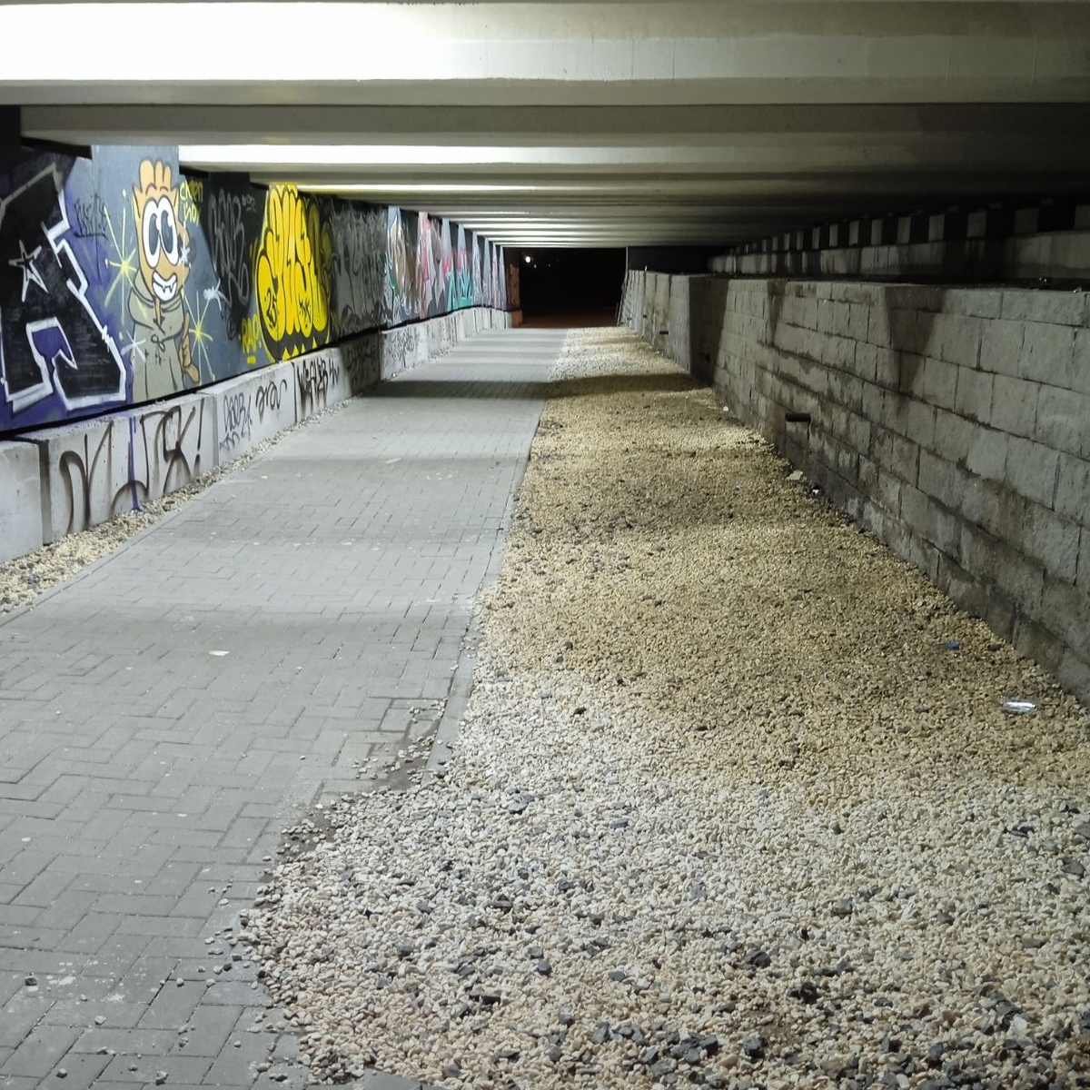 Иллюстрация: фото из личного архива автора