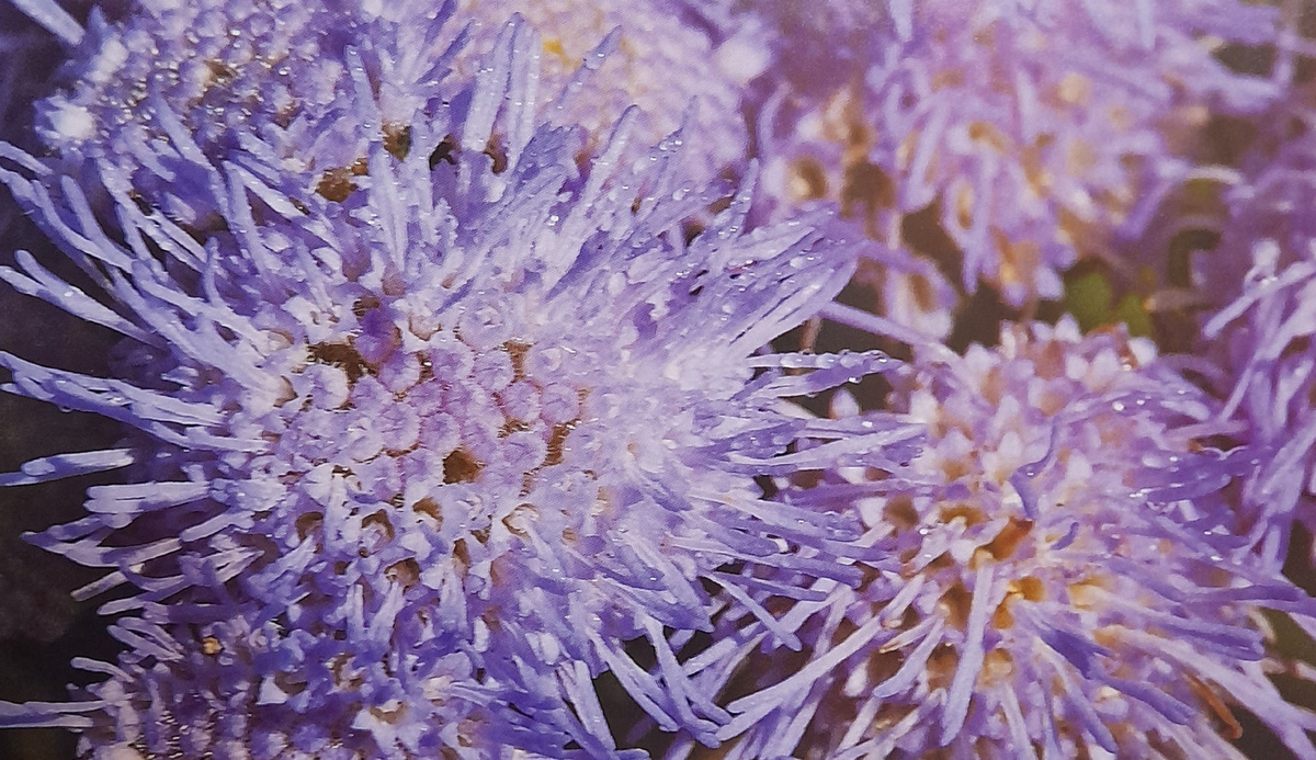 Фото автора канала