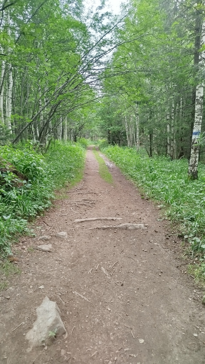 Начало тропы обнадживает...
