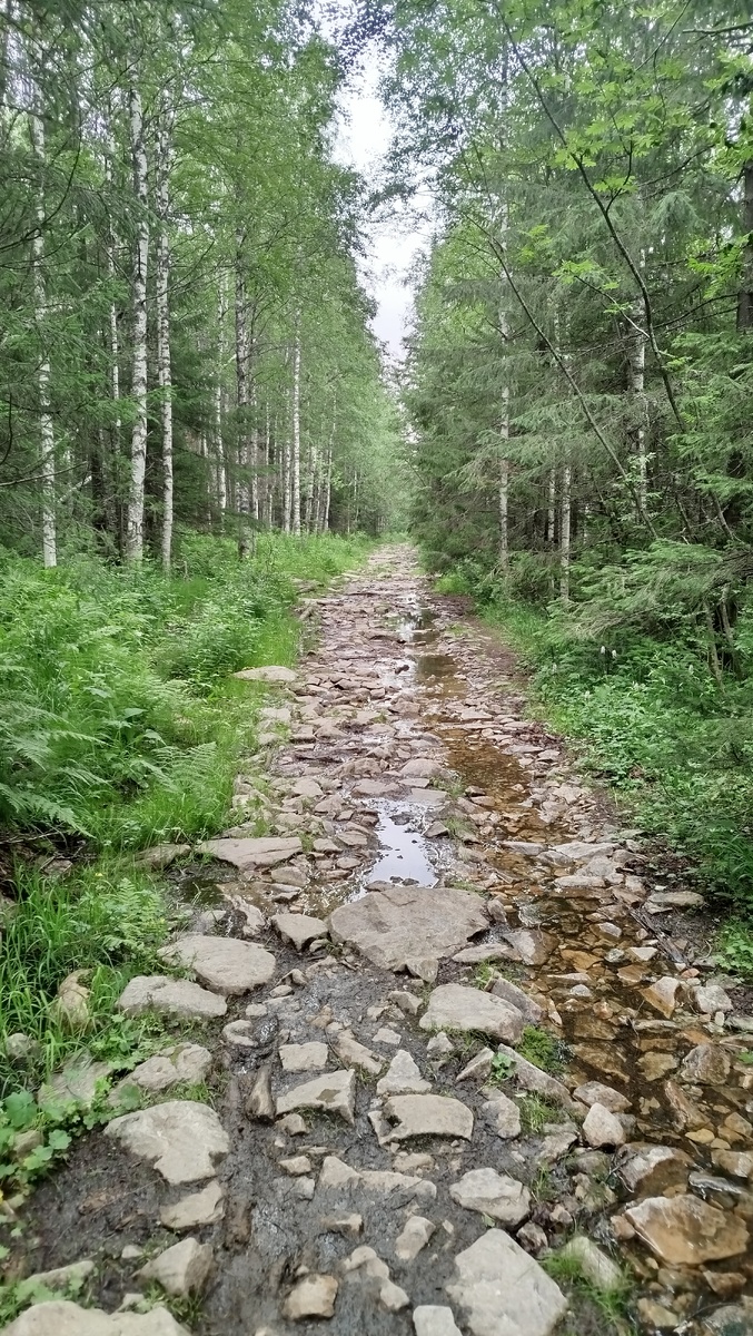 Дальше будет такое...