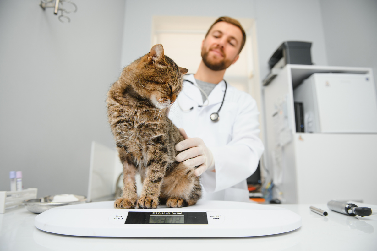 Serhii Hryshchyshen/istock