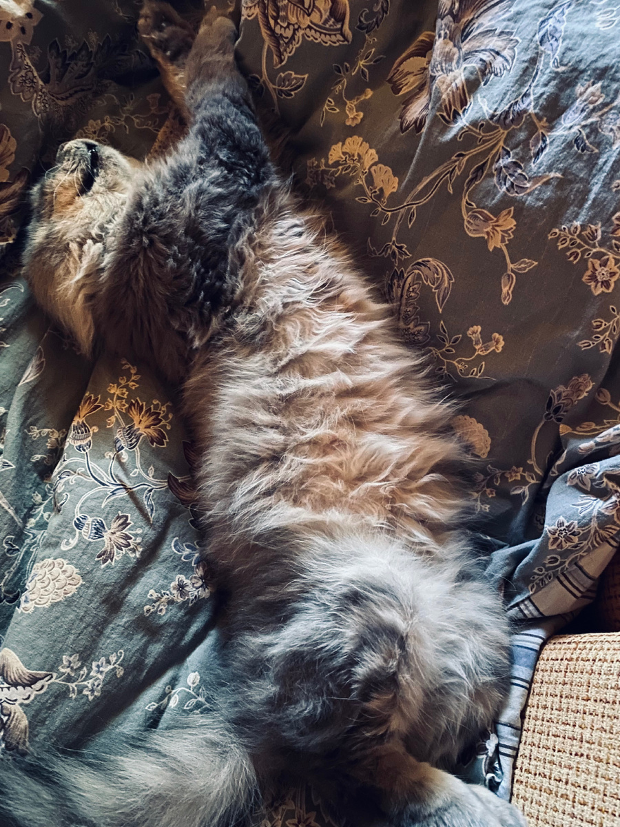 Могу так спать! Везде фото автора.