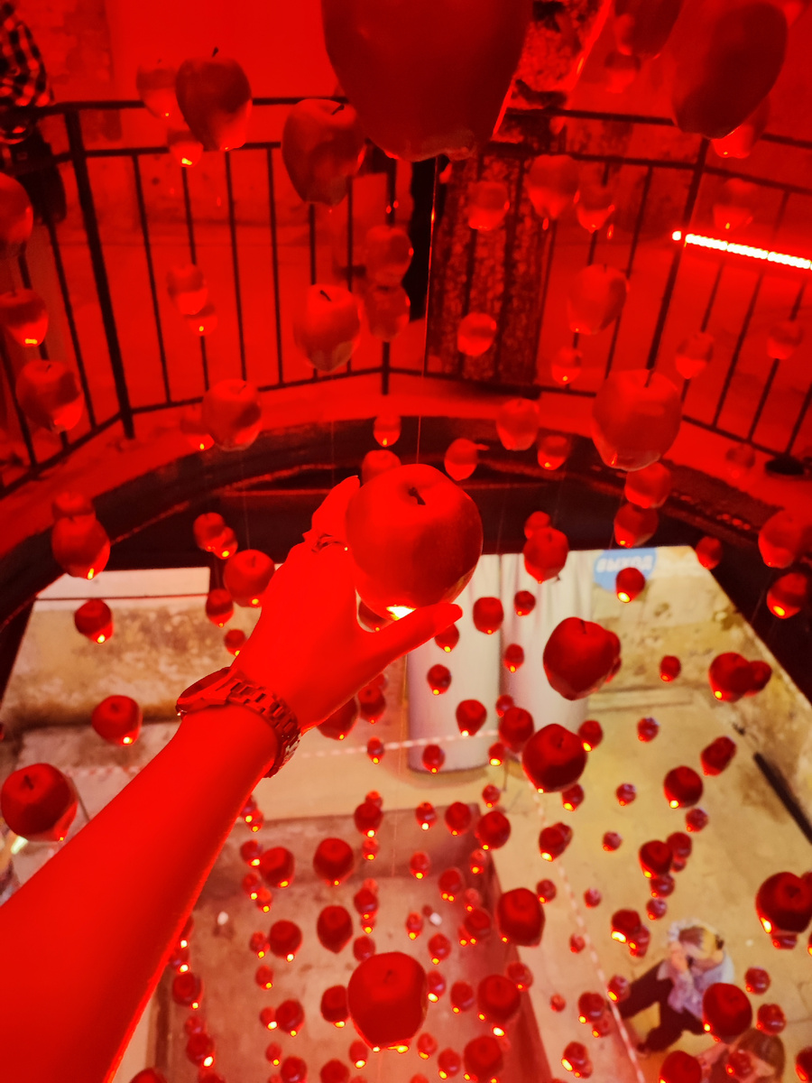 фото выставки "Сотворение"