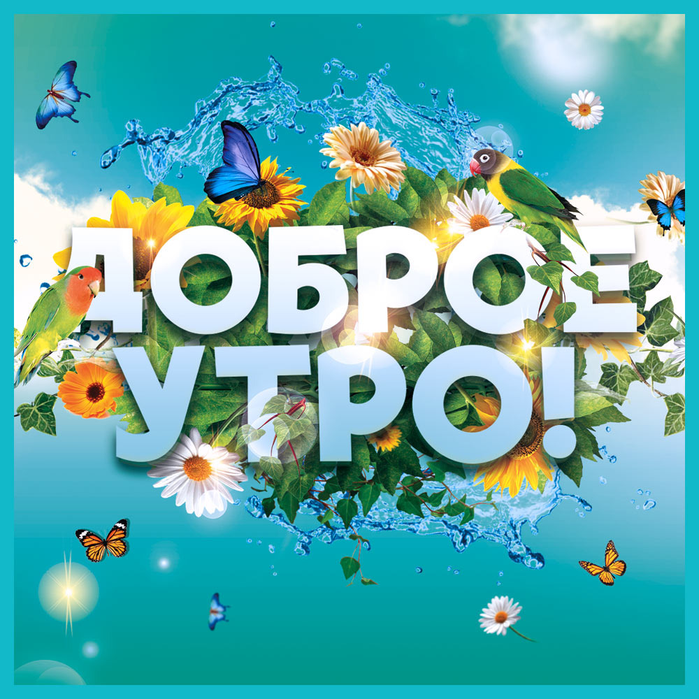 Фото из открытого источника в интернете.