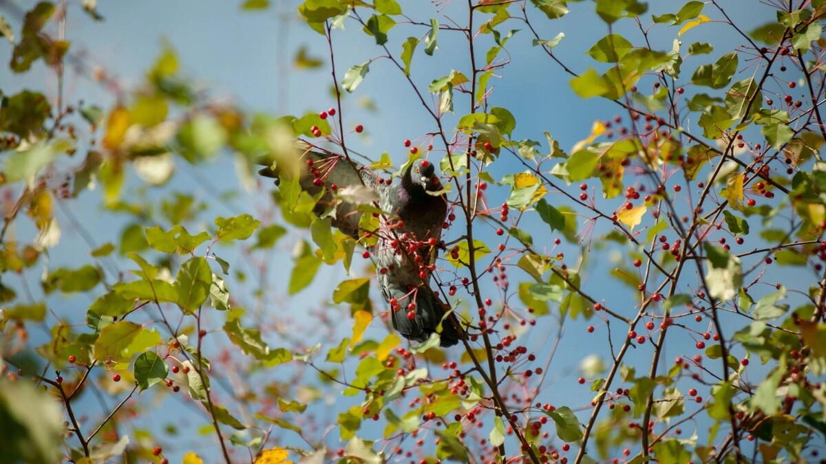     Источник: 1MI