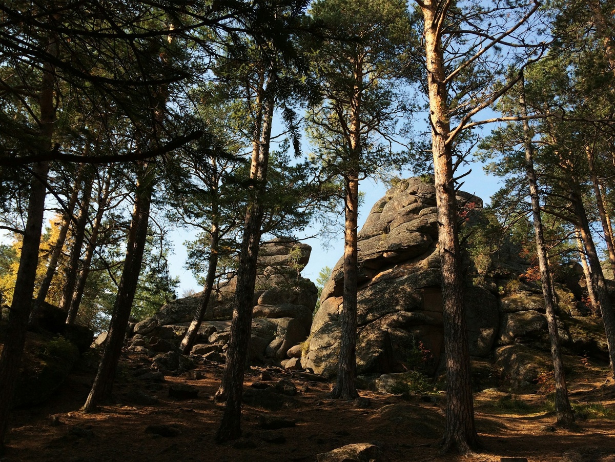   Фото: Arthur Shuraev on Unsplash