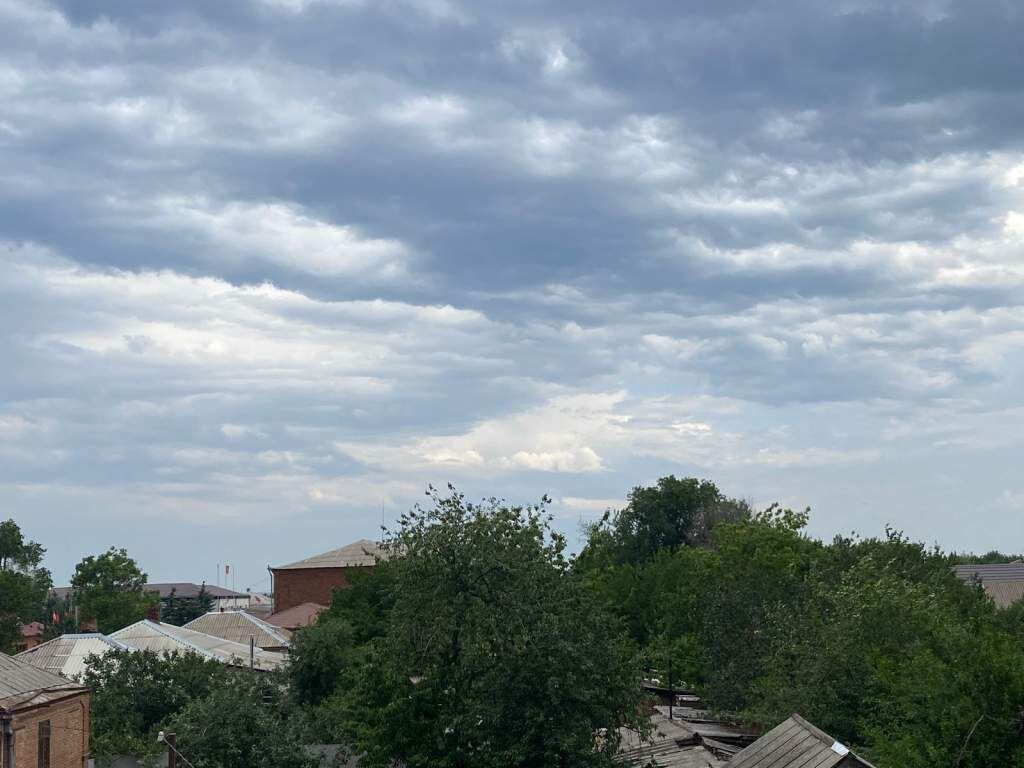   Фото: И. Куницкая. Газета "Земля"