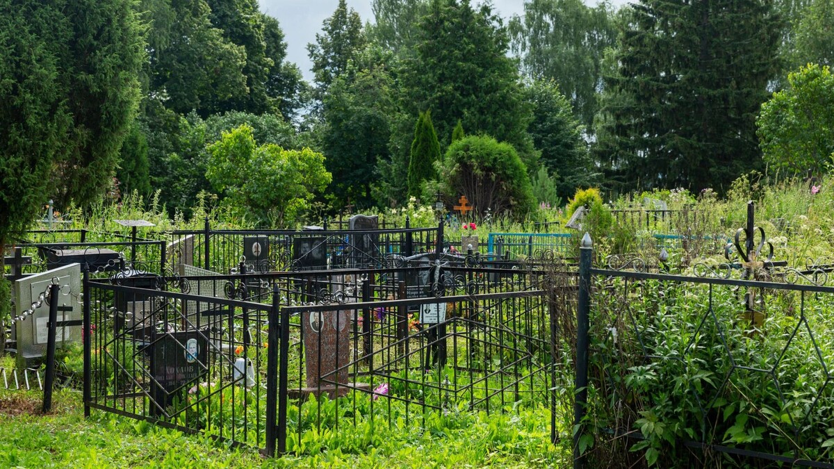    Фото: Deman/Shutterstock/Fotodom