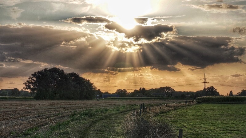      Фото: @EyeEm / freepik.com