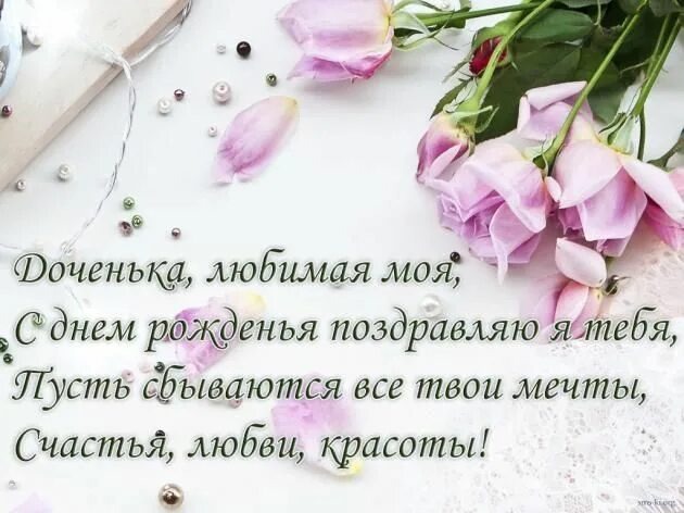 Яндекс картинки 