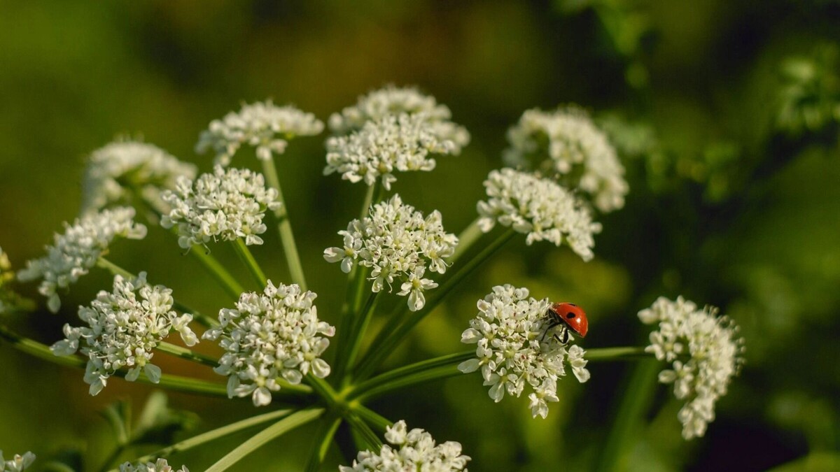     Источник: freepik.com