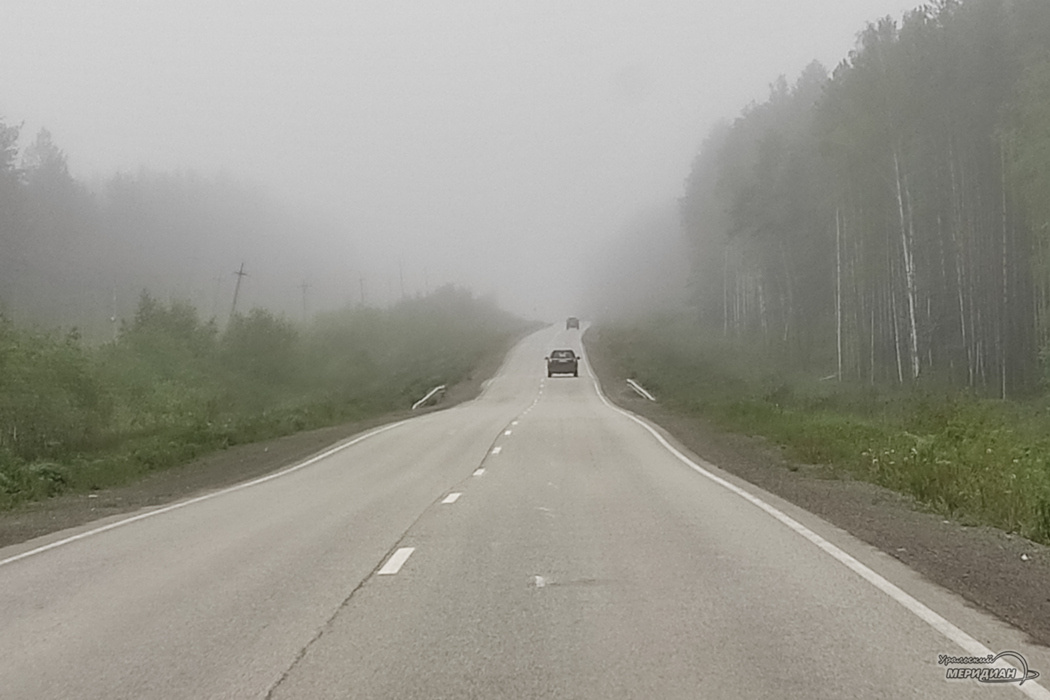    Фото: читатель © ИА «Уральский меридиан»