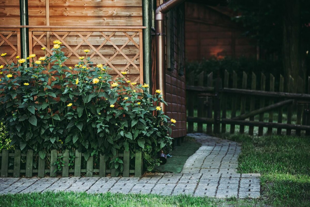     123RF/legion-media.ru