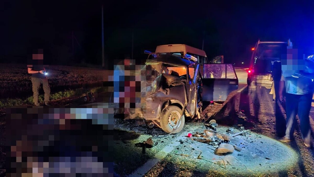     / Источник: © Госавтоинспекция Ставрополья/Telegram