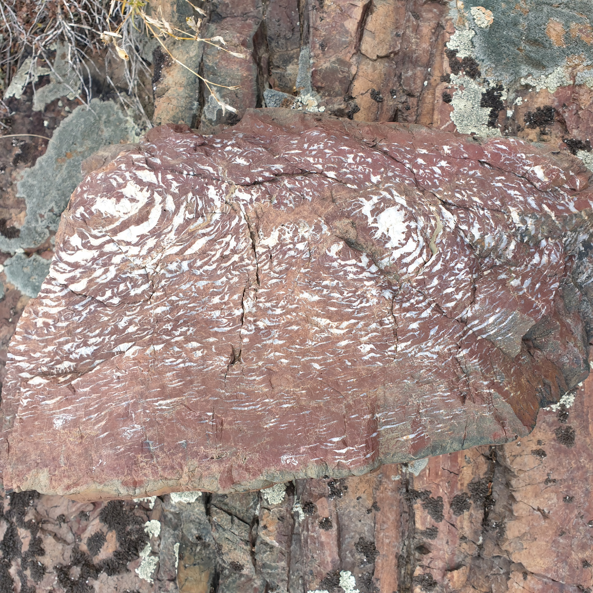 Яшма Каратасского проявления. Восточный Казахстан