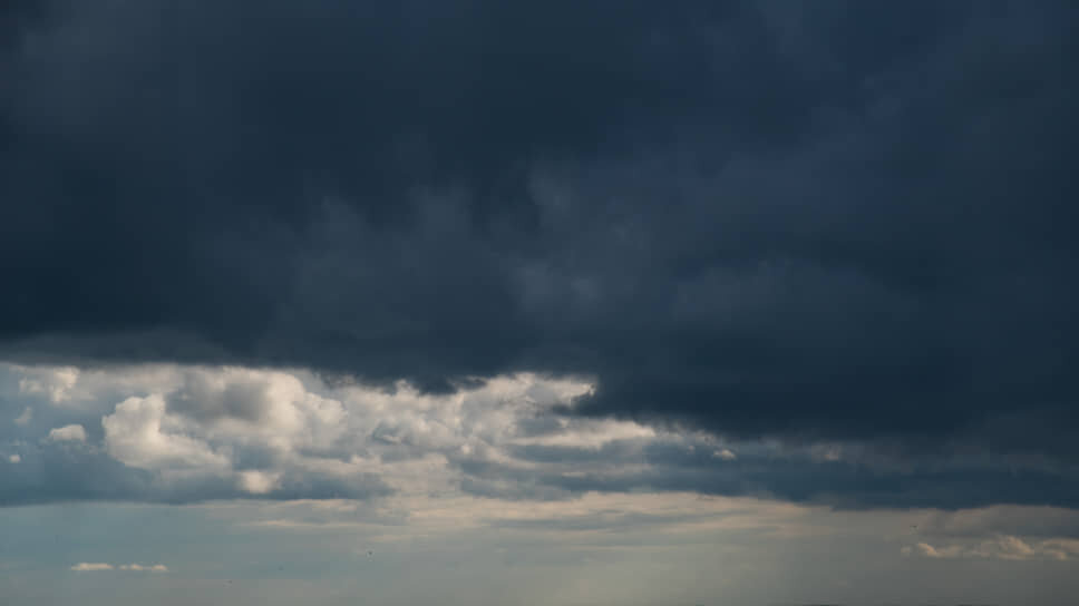 Фото: Олег Харсеев / Коммерсантъ